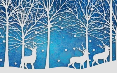 Blue Zoo Creative News for the Holidays 2025