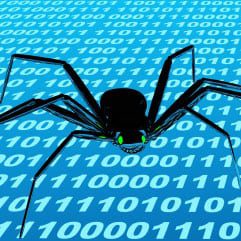 Friendly Spiders?