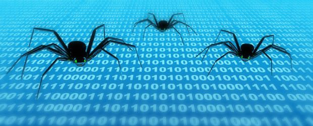 Spiders
