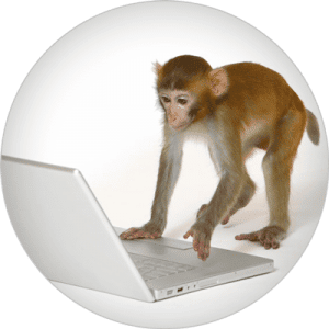 Small-Monkey-on-Computer-400x