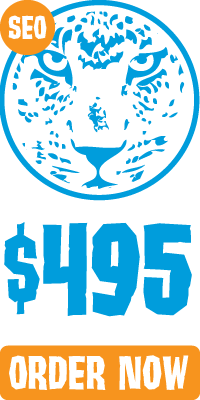 Blue Zoo Creative SEO Cheetah