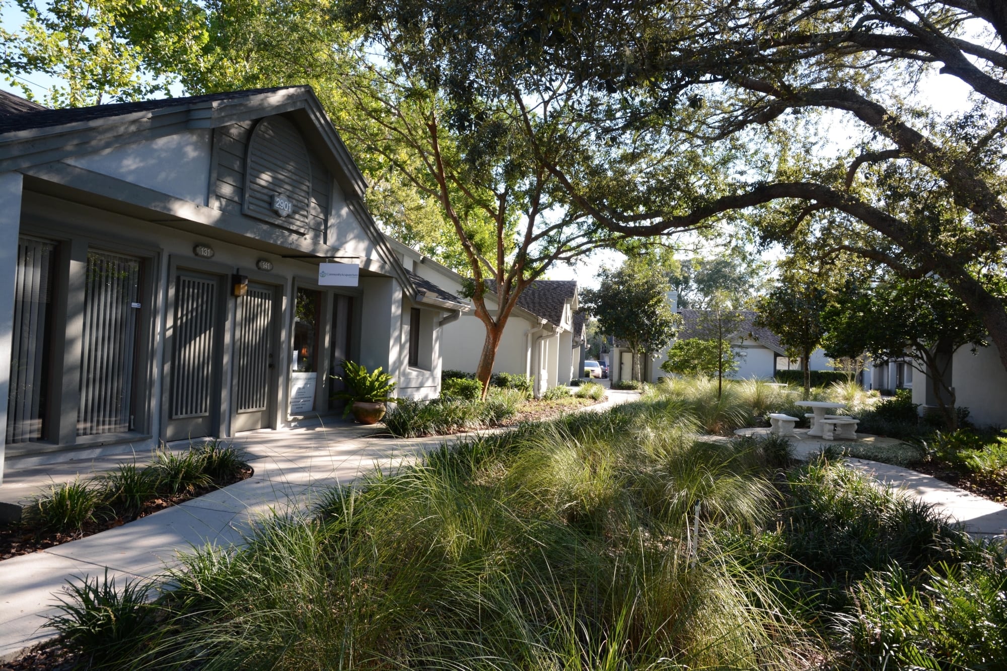 Serving Community with Acupuncture