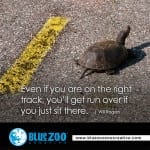 don't-sit-there-turtle2