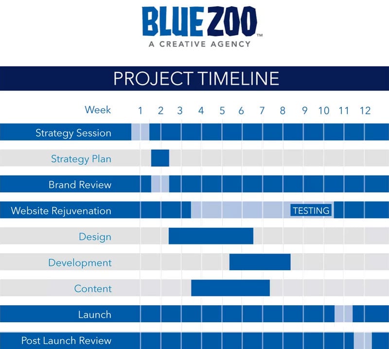 Blue Zoo Project Timeline Example